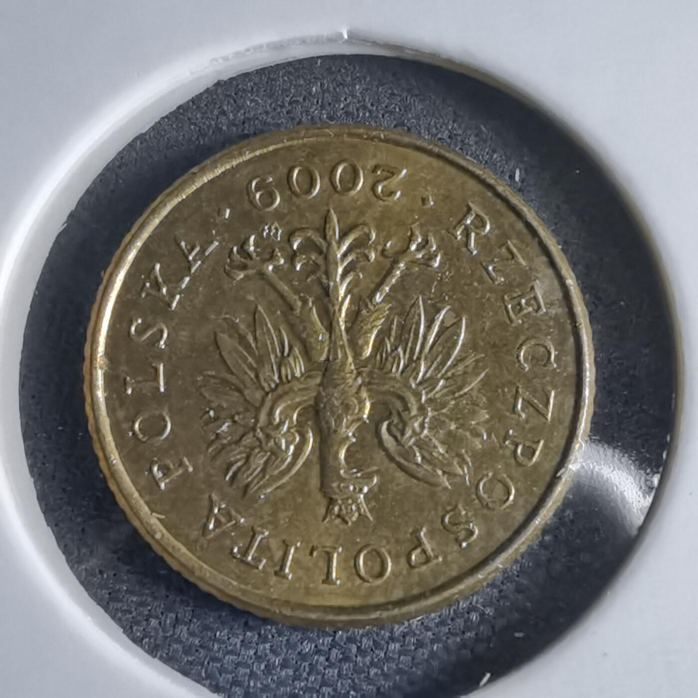 沼泽如烟--第969场 波兰2009年1格罗申