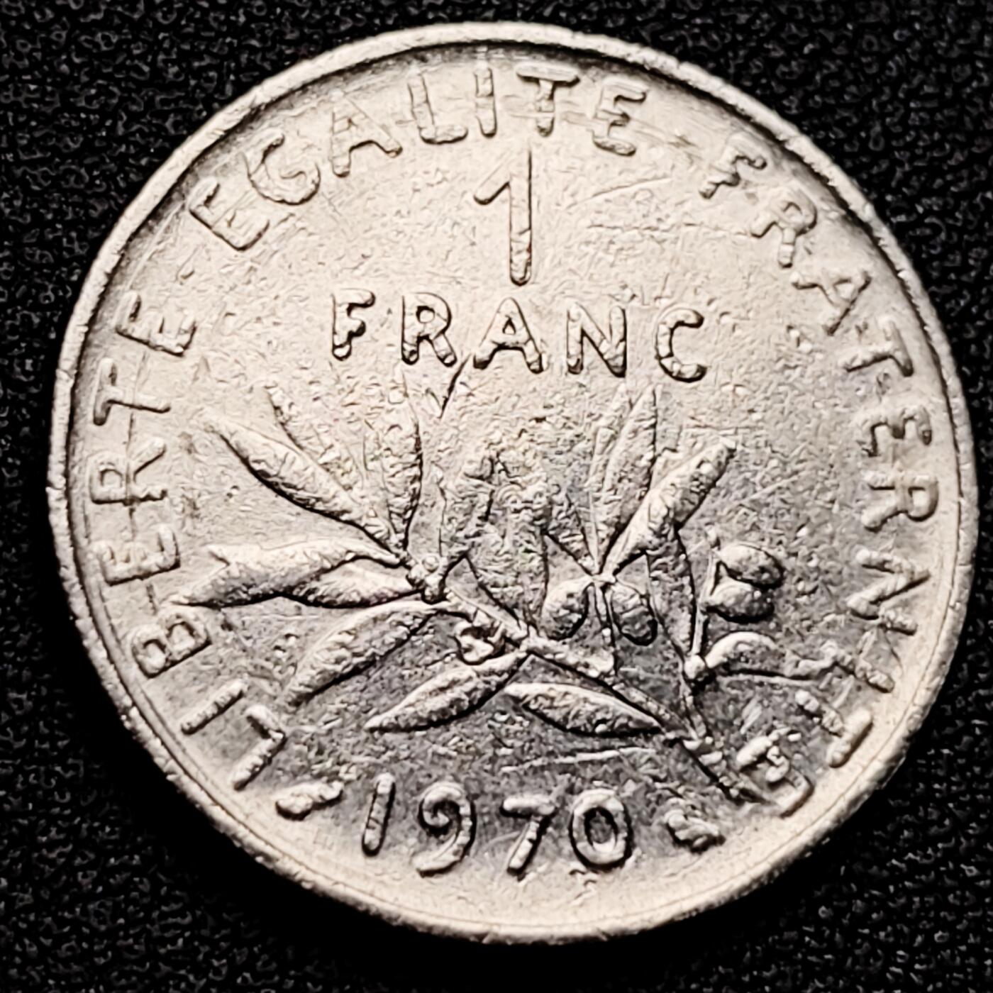 泉币菌-第173场- 精品福利场 。