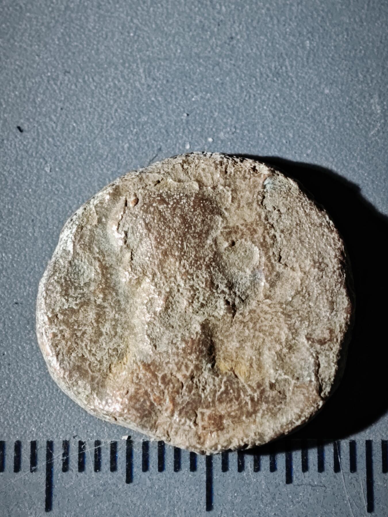 110期新疆红钱粟特钱币丝路钱币专场 B丝路铜币