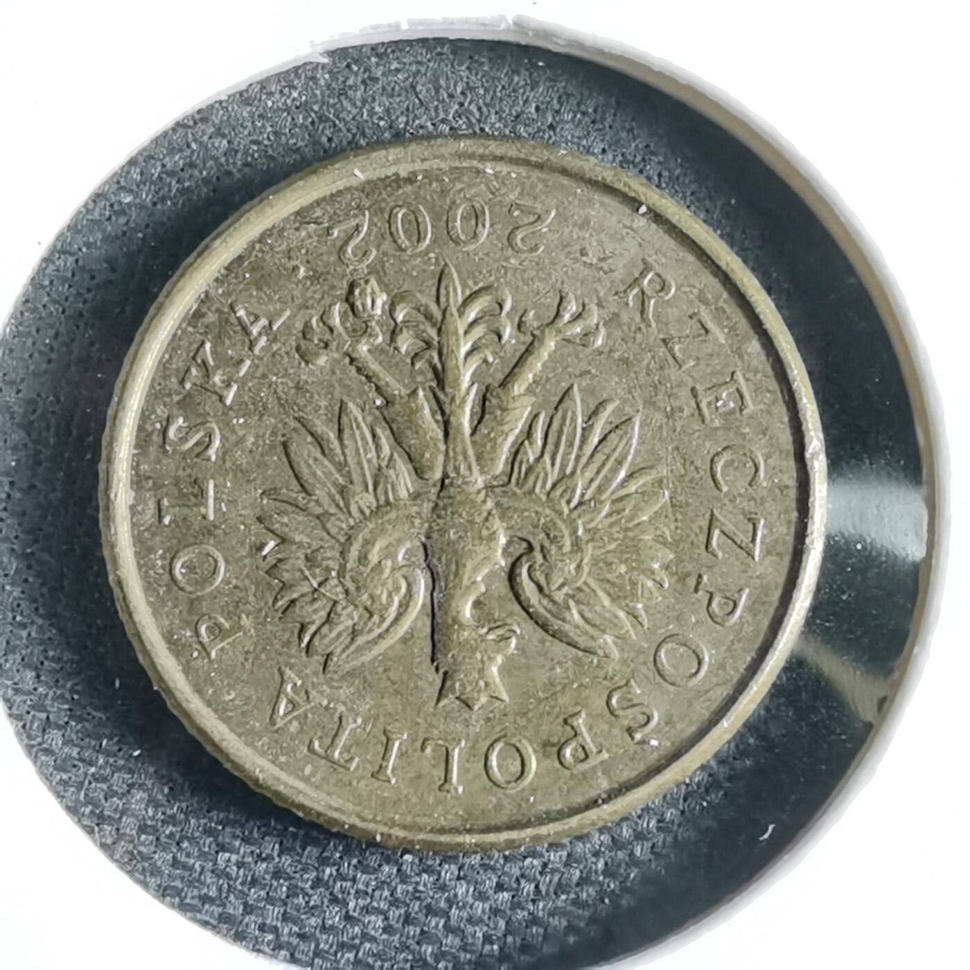 沼泽如烟--第969场 波兰2002年1格罗申