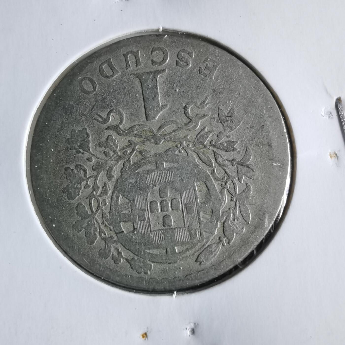 沼泽如烟--第969场