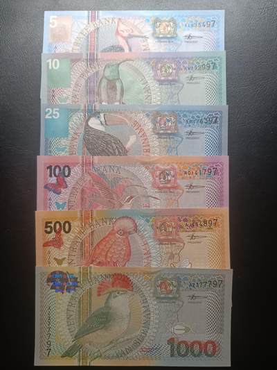 2026一月第四期，总214期 - 苏里南2000版5+10+25+100+500+1000盾UNC，热带鸟类和花卉