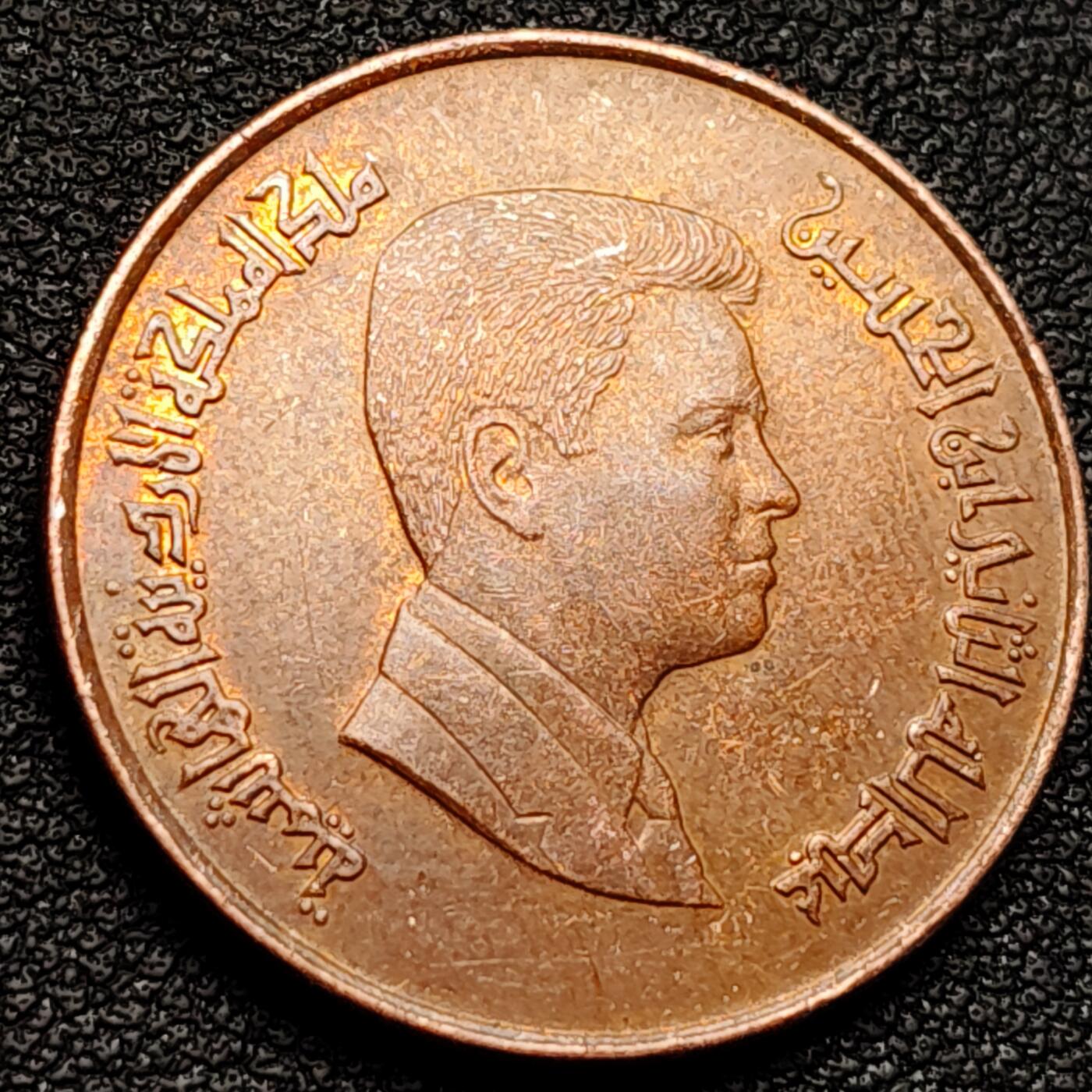 泉币菌-第173场- 精品福利场 。