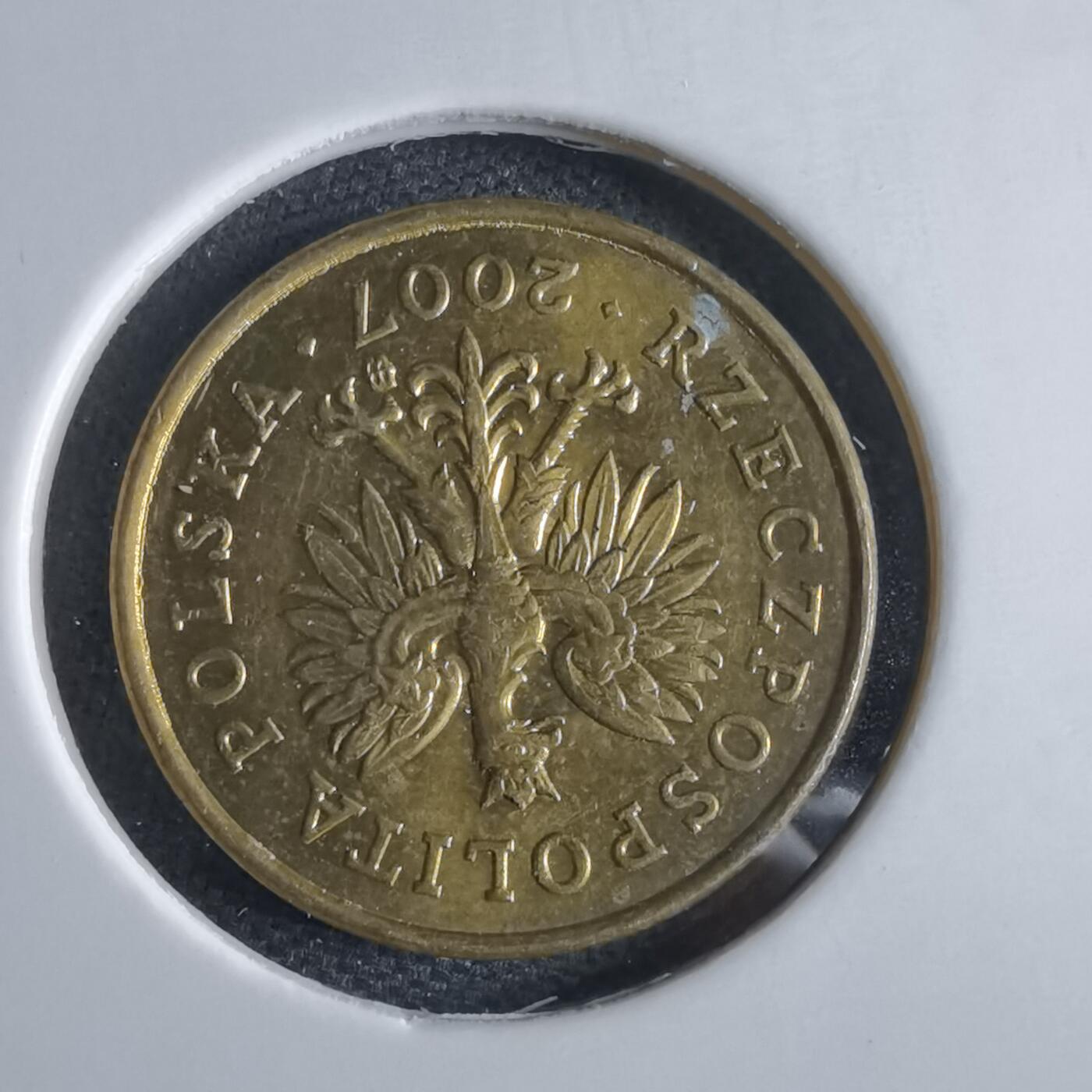 沼泽如烟--第969场 波兰2007年2格罗申