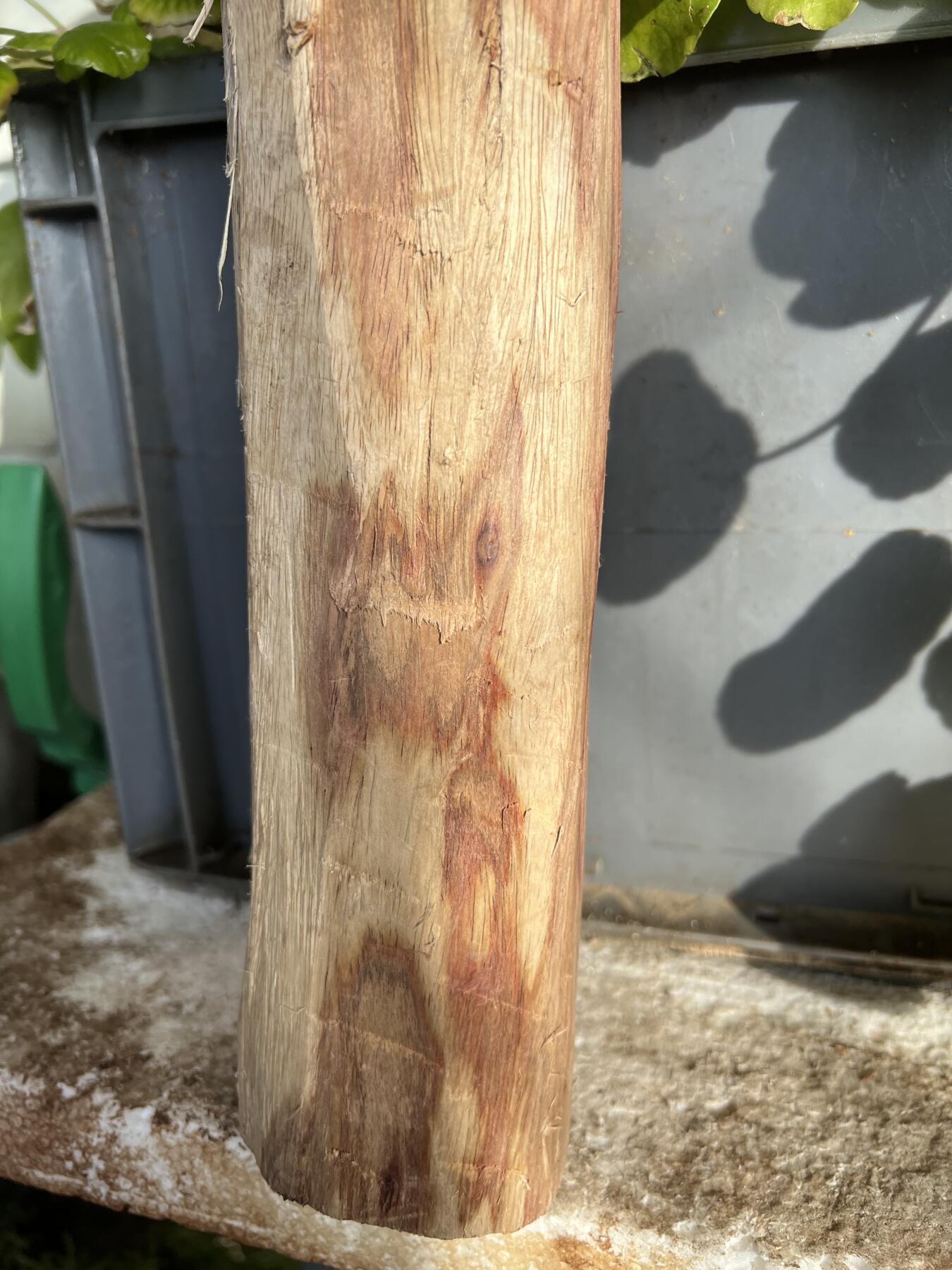 零元拍：  NO.128海南黄花梨珠子料 ，鬼脸还挺多，做烟杆手杖擀面杖，做四对手球没问题。尺寸约475/65/85MM，三斤多重