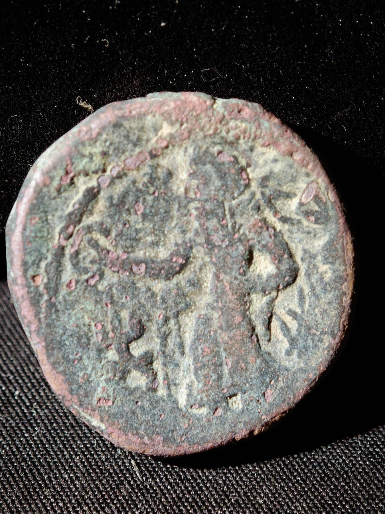 110期新疆红钱粟特钱币丝路钱币专场 C丝路铜币