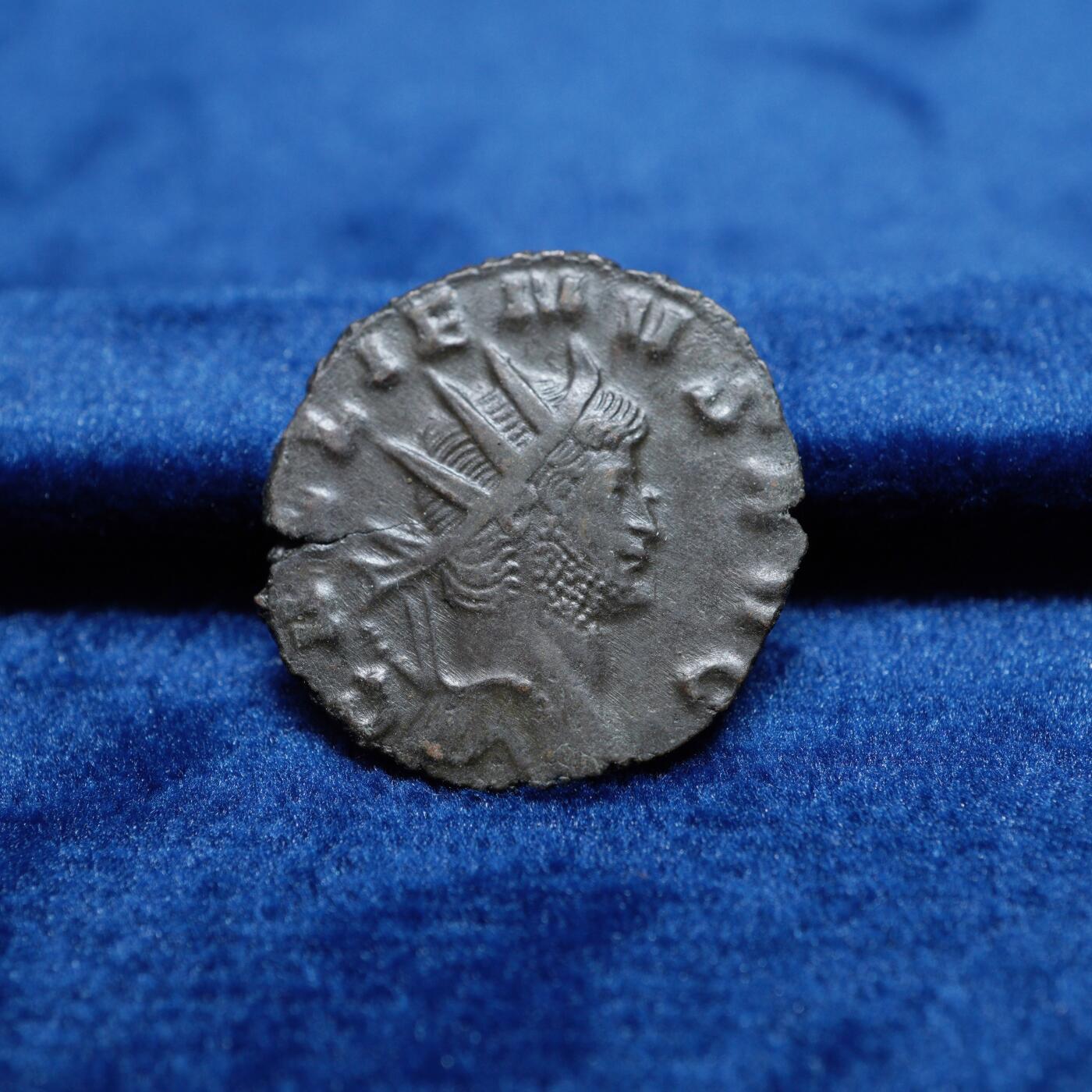 琋语集藏2026年02月欧洲古典打制币拍卖 古罗马帝国加里恩努斯-飞马铜币