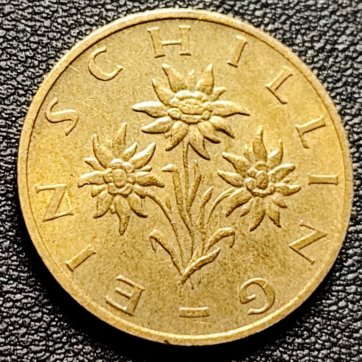 泉币菌-第173场- 精品福利场 。