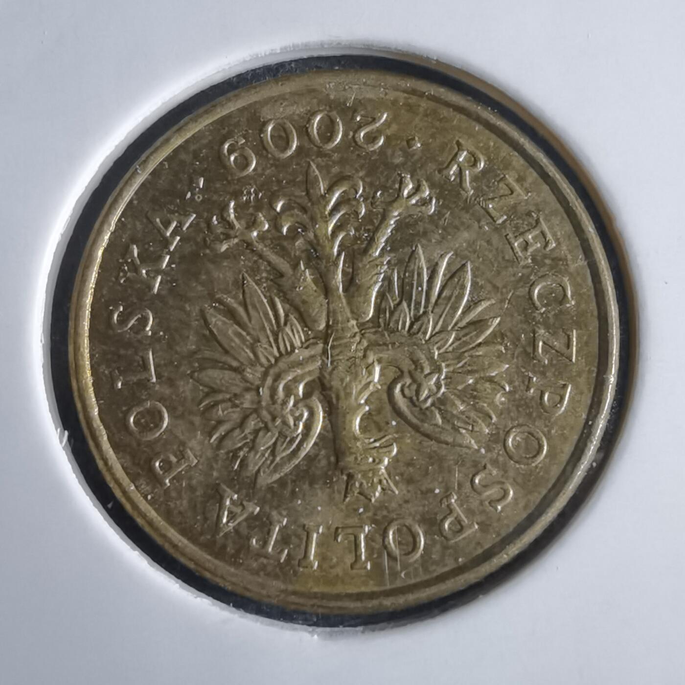 沼泽如烟--第969场 波兰2009年5格罗申