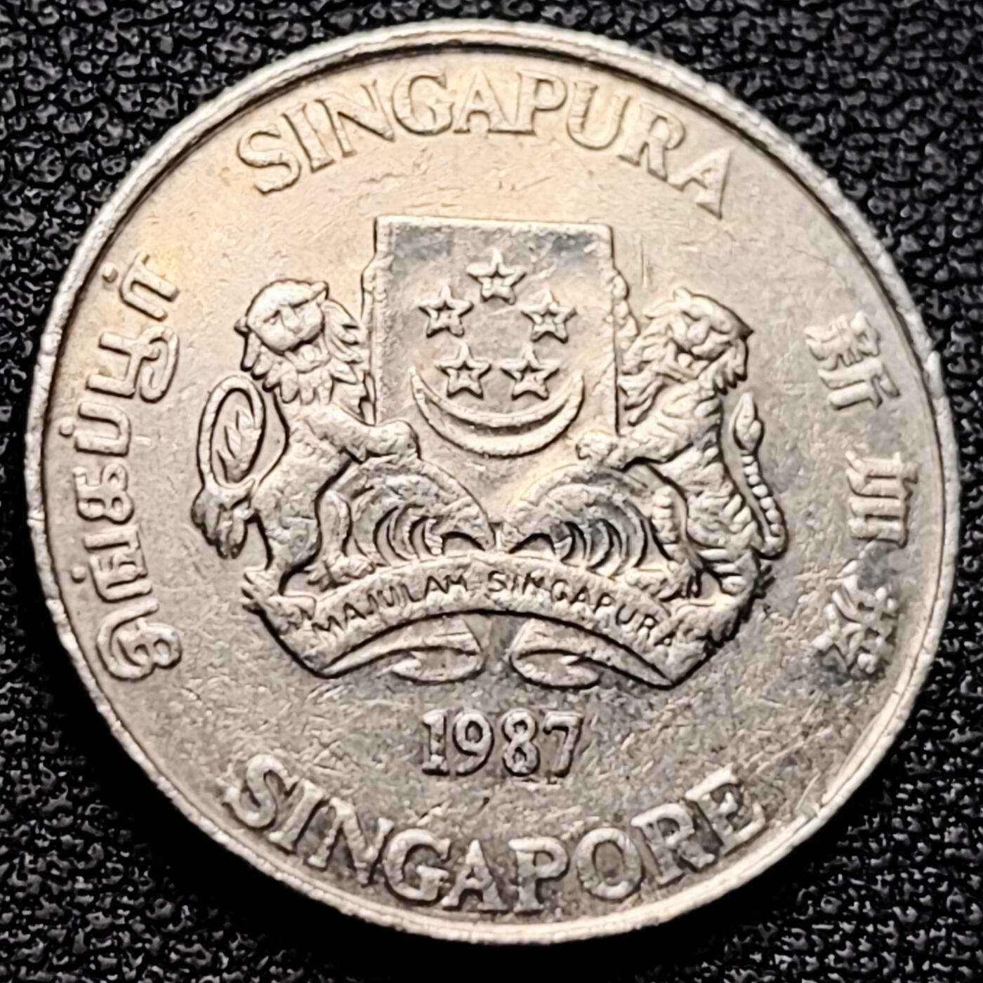 泉币菌-第173场- 精品福利场 。