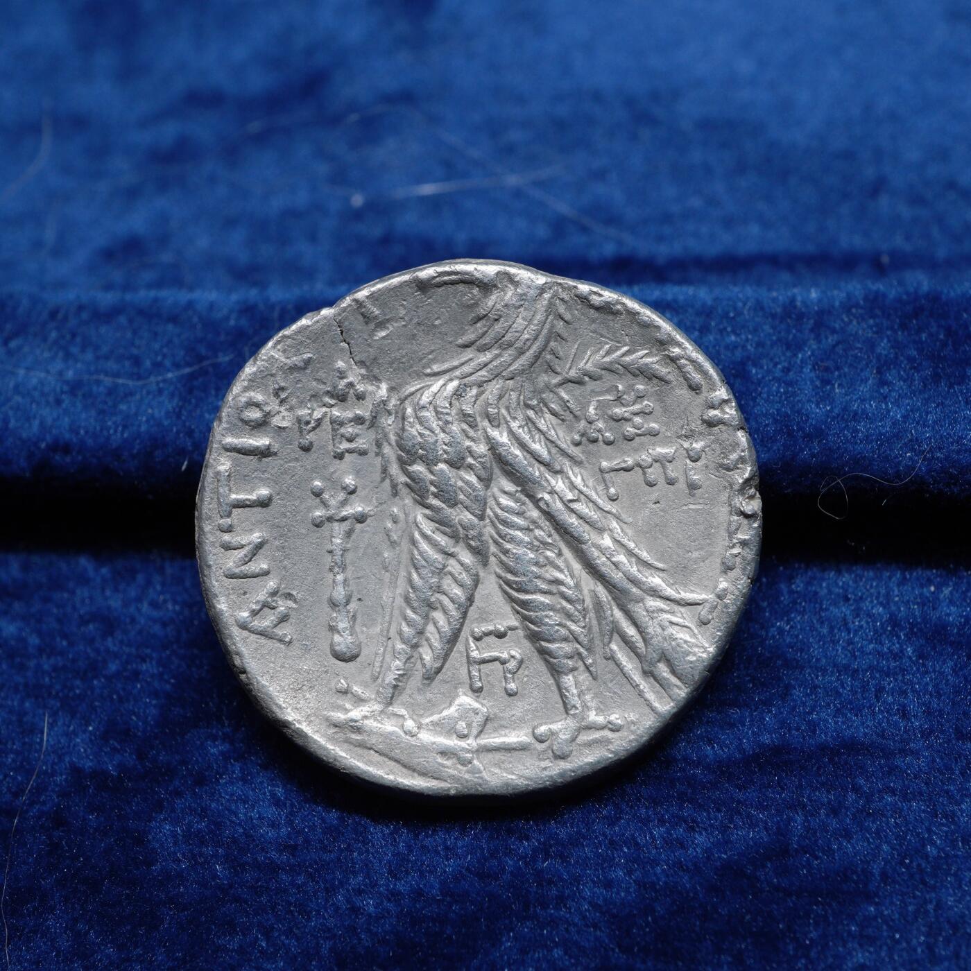 琋语集藏2026年02月欧洲古典打制币拍卖 古希腊塞琉古王国-腓尼基地区安条克七世与雄鹰4德拉克马银币