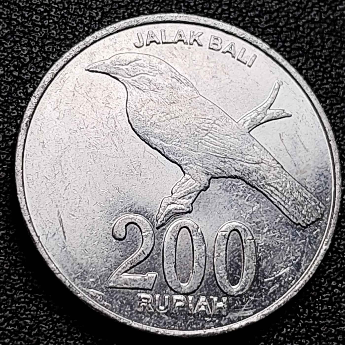 泉币菌-第173场- 精品福利场 。