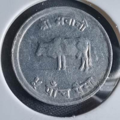 沼泽如烟--第969场 - 尼泊尔