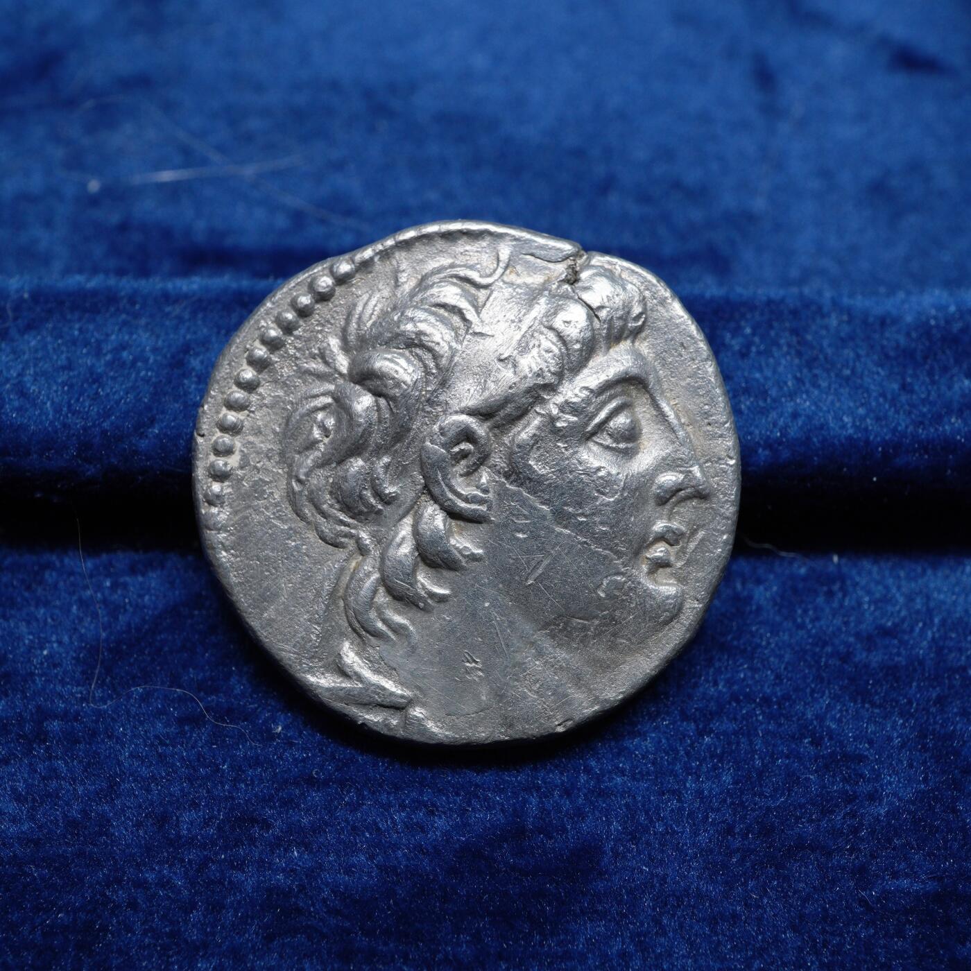 琋语集藏2026年02月欧洲古典打制币拍卖 古希腊塞琉古王国-腓尼基地区安条克七世与雄鹰4德拉克马银币