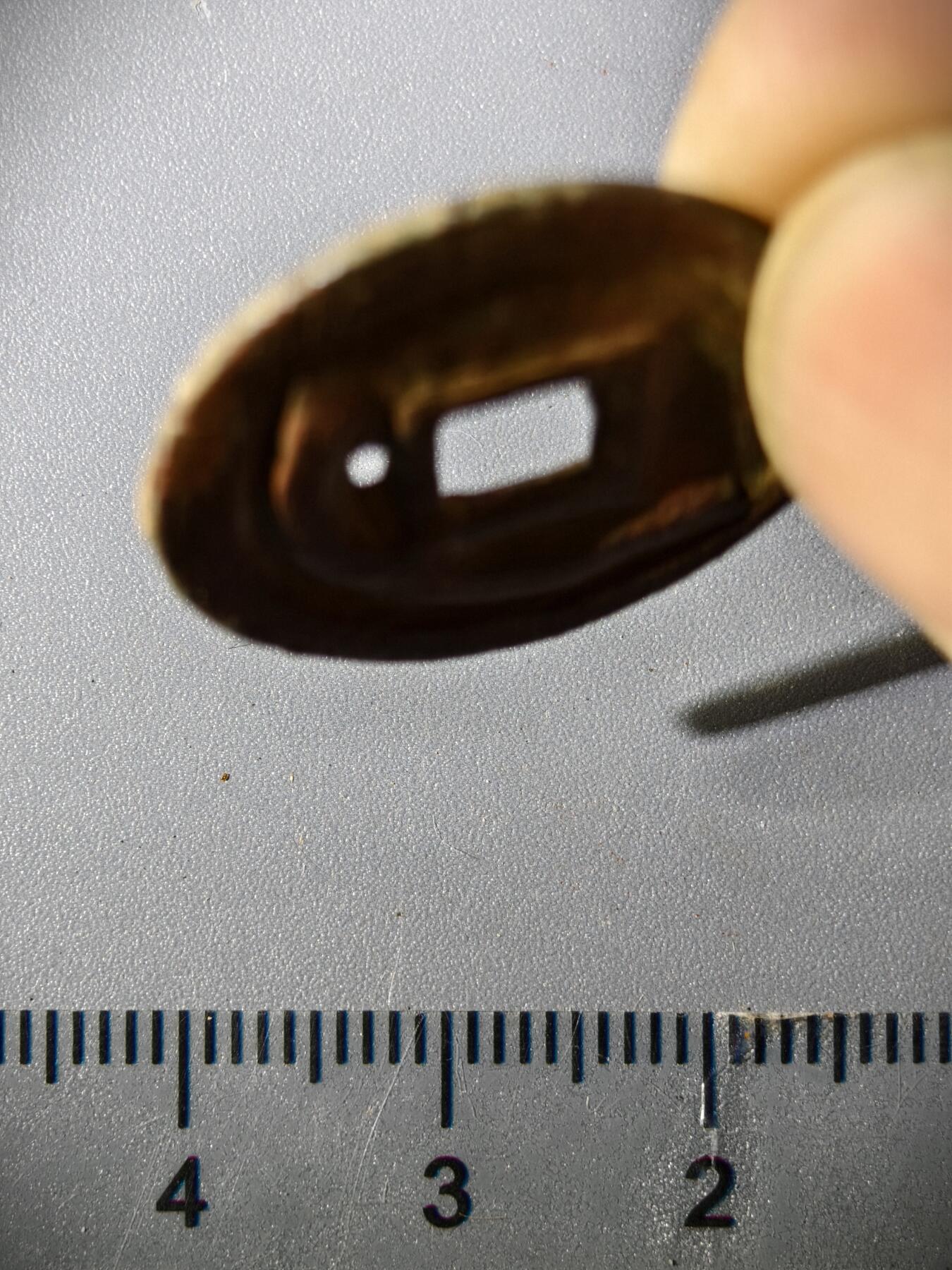 110期新疆红钱粟特钱币丝路钱币专场