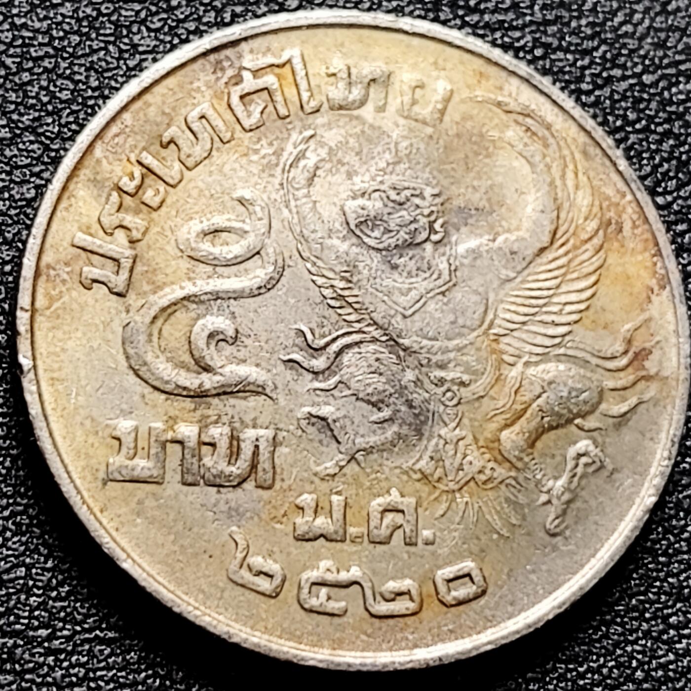 泉币菌-第173场- 精品福利场 。