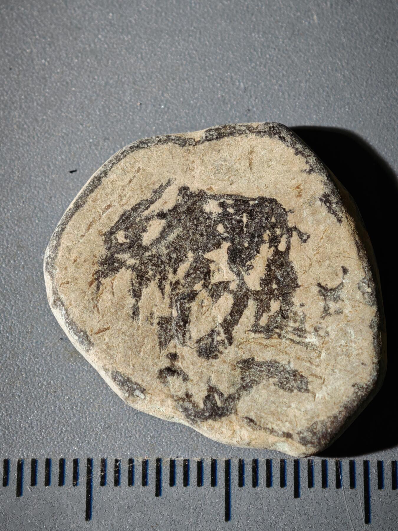 110期新疆红钱粟特钱币丝路钱币专场 B丝路铜币