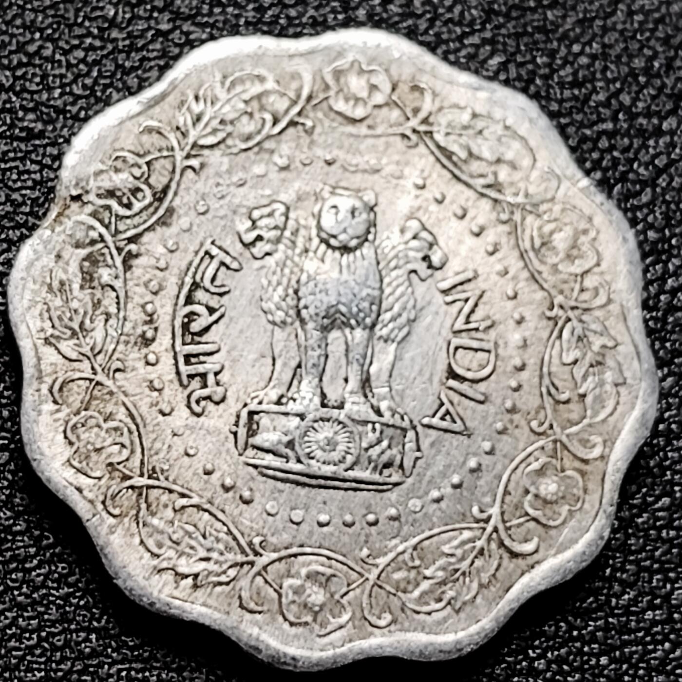 泉币菌-第173场- 精品福利场 。