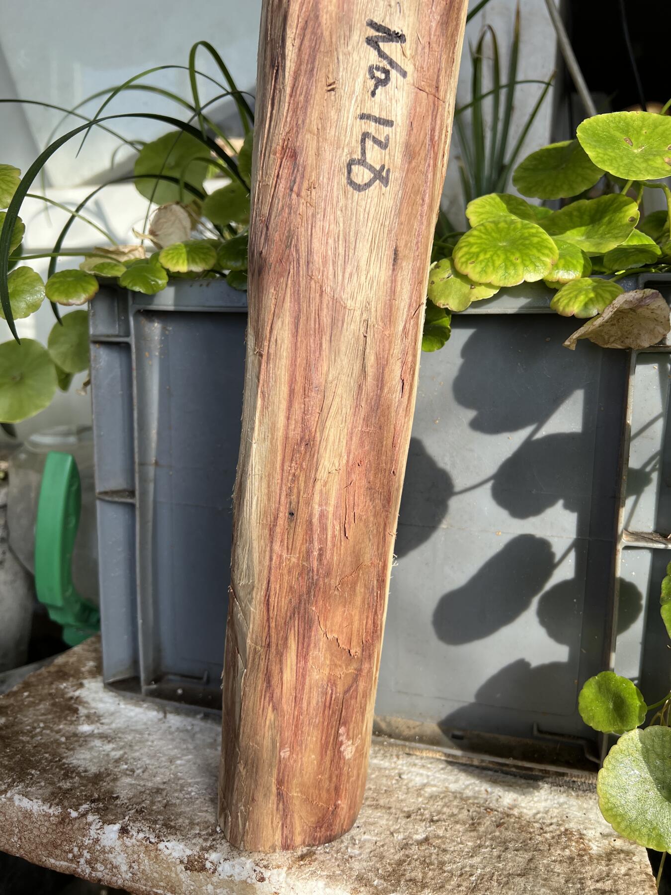 零元拍：  NO.128海南黄花梨珠子料 ，鬼脸还挺多，做烟杆手杖擀面杖，做四对手球没问题。尺寸约475/65/85MM，三斤多重