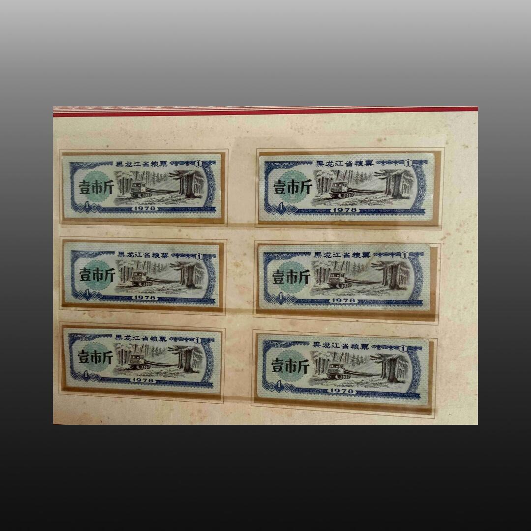 安欣精品票证专场 全国地方粮票