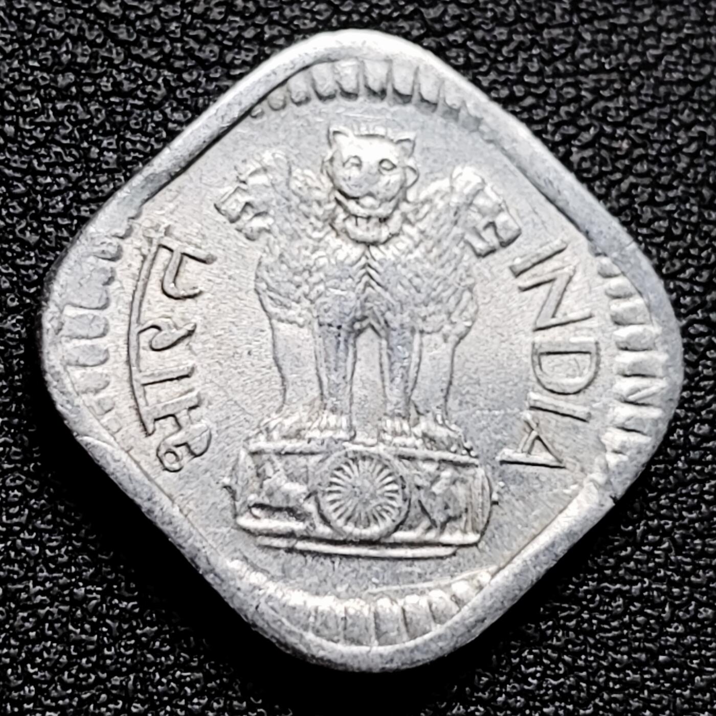 泉币菌-第173场- 精品福利场 。