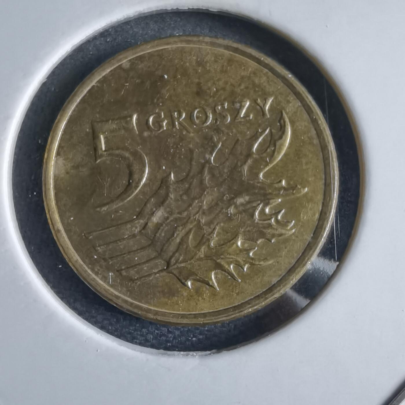 沼泽如烟--第969场 波兰2008年5格罗申