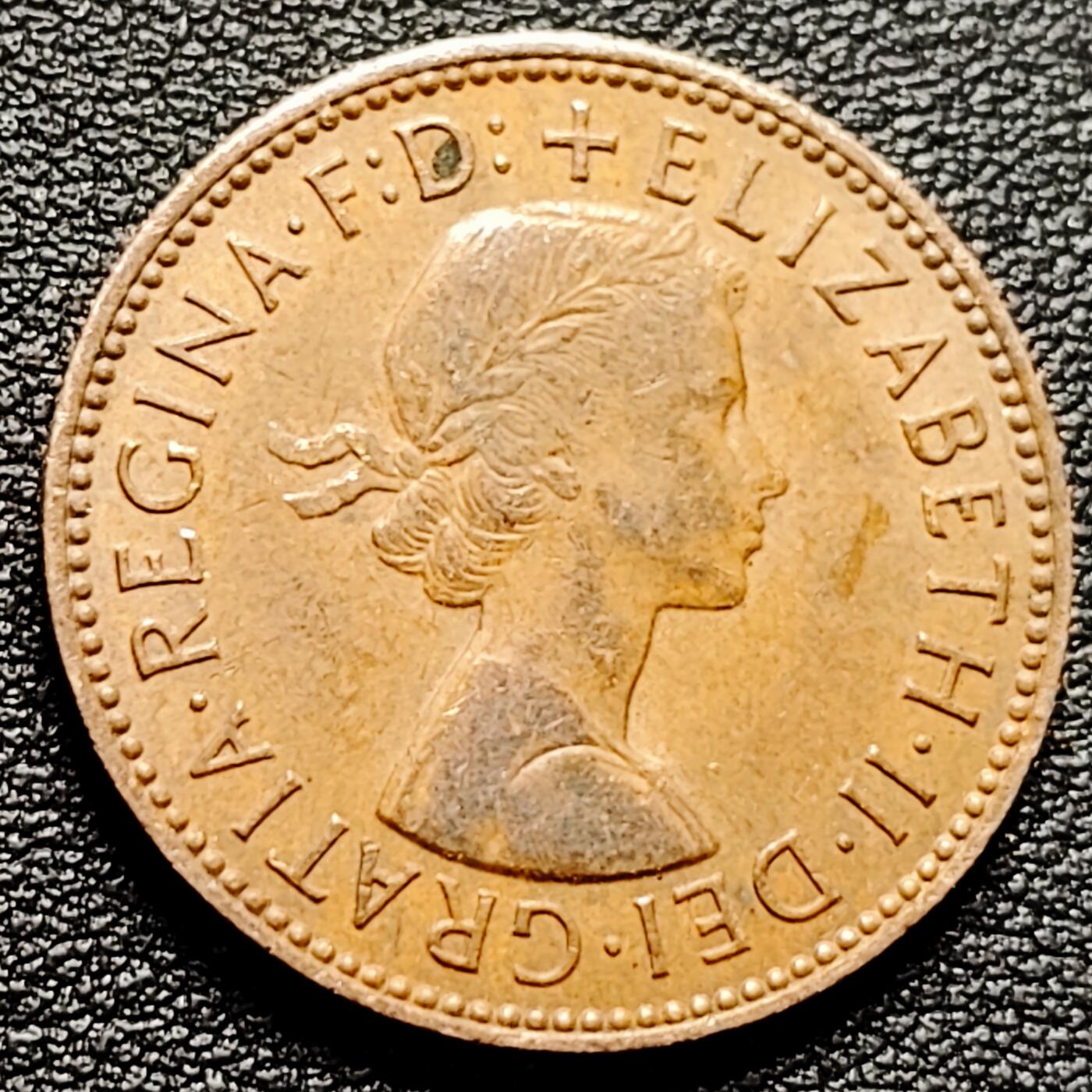 泉币菌-第173场- 精品福利场 。