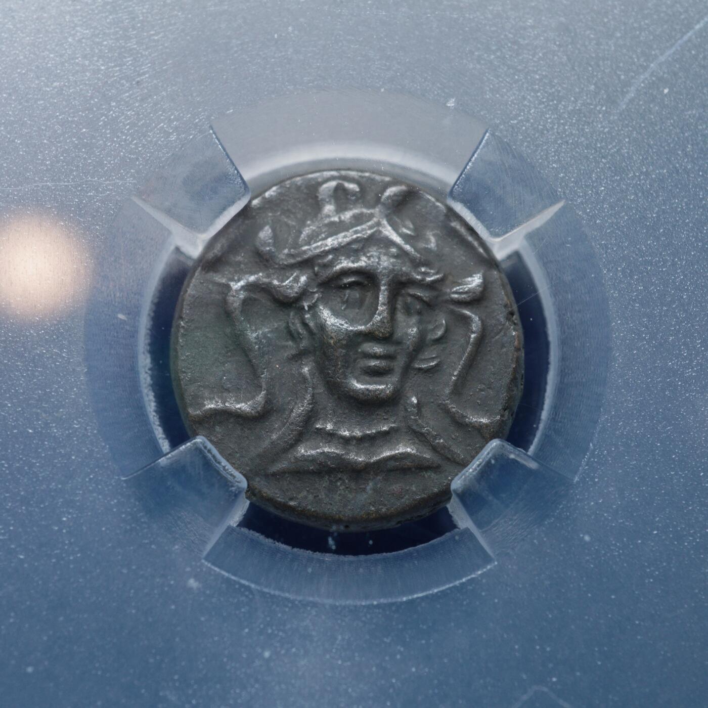 琋语集藏2026年02月欧洲古典打制币拍卖 古希腊卢卡尼亚雅典娜与大麦铜币（TQG评级）