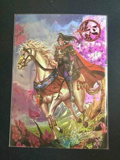 NO.22 好又多金牌大场，年前倒数第3期！每周一站式配齐，方便凑单！（周6晚9点截拍，卖家送拍0抽成！） - 新绣漫画 一丈青扈三娘 光刻