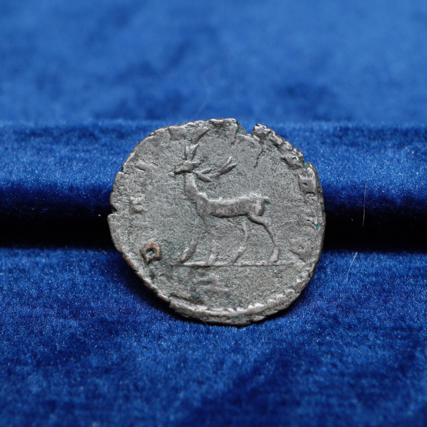 琋语集藏2026年02月欧洲古典打制币拍卖 古罗马帝国加里恩努斯-梅花鹿铜币