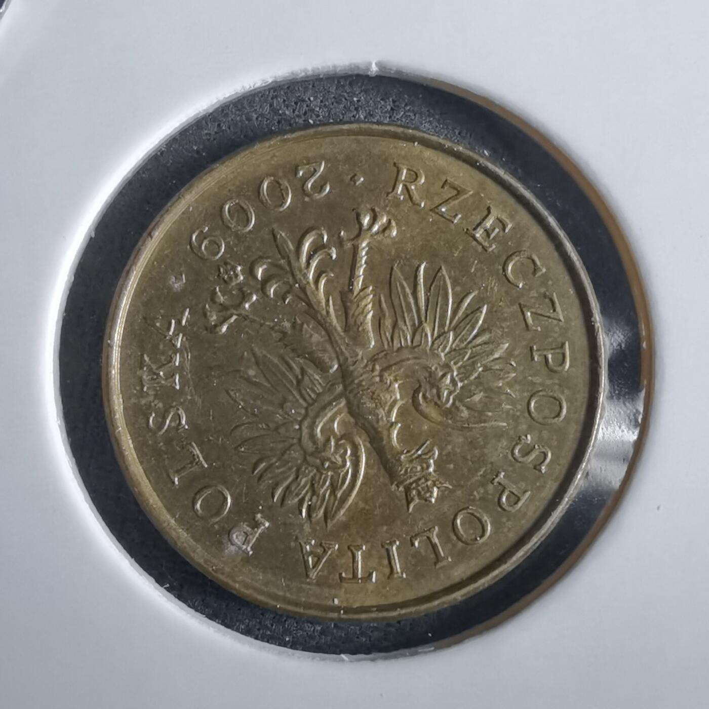 沼泽如烟--第969场 波兰2009年2格罗申