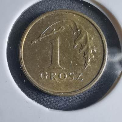 沼泽如烟--第969场 - 波兰2009年1格罗申