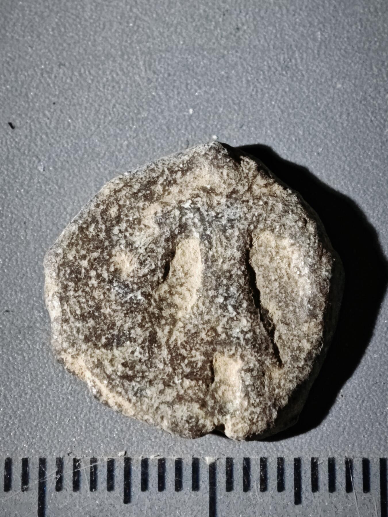 110期新疆红钱粟特钱币丝路钱币专场 B丝路铜币