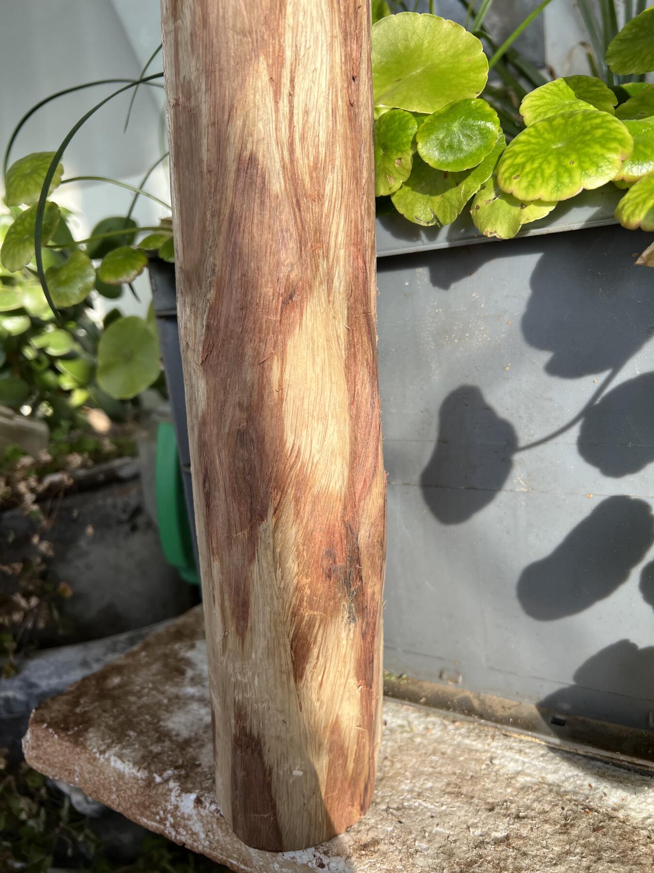 零元拍：  NO.128海南黄花梨珠子料 ，鬼脸还挺多，做烟杆手杖擀面杖，做四对手球没问题。尺寸约475/65/85MM，三斤多重