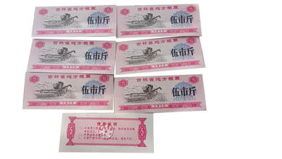 吉林省地方粮票 - 吉林省地方粮票