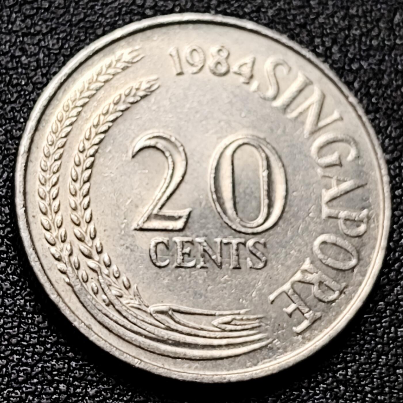 泉币菌-第173场- 精品福利场 。