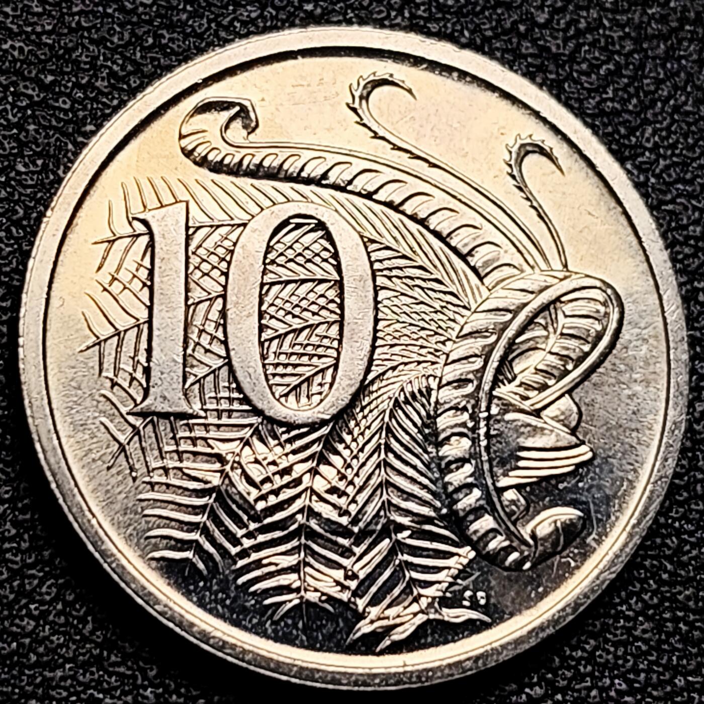 泉币菌-第174场- 精品福利场 。