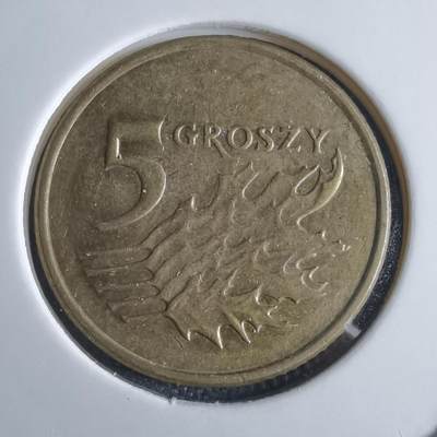 沼泽如烟--第969场 - 波兰2008年5格罗申