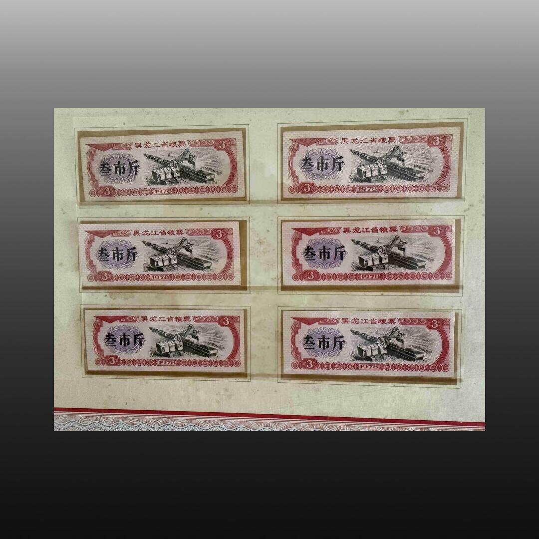 安欣精品票证专场 全国地方粮票