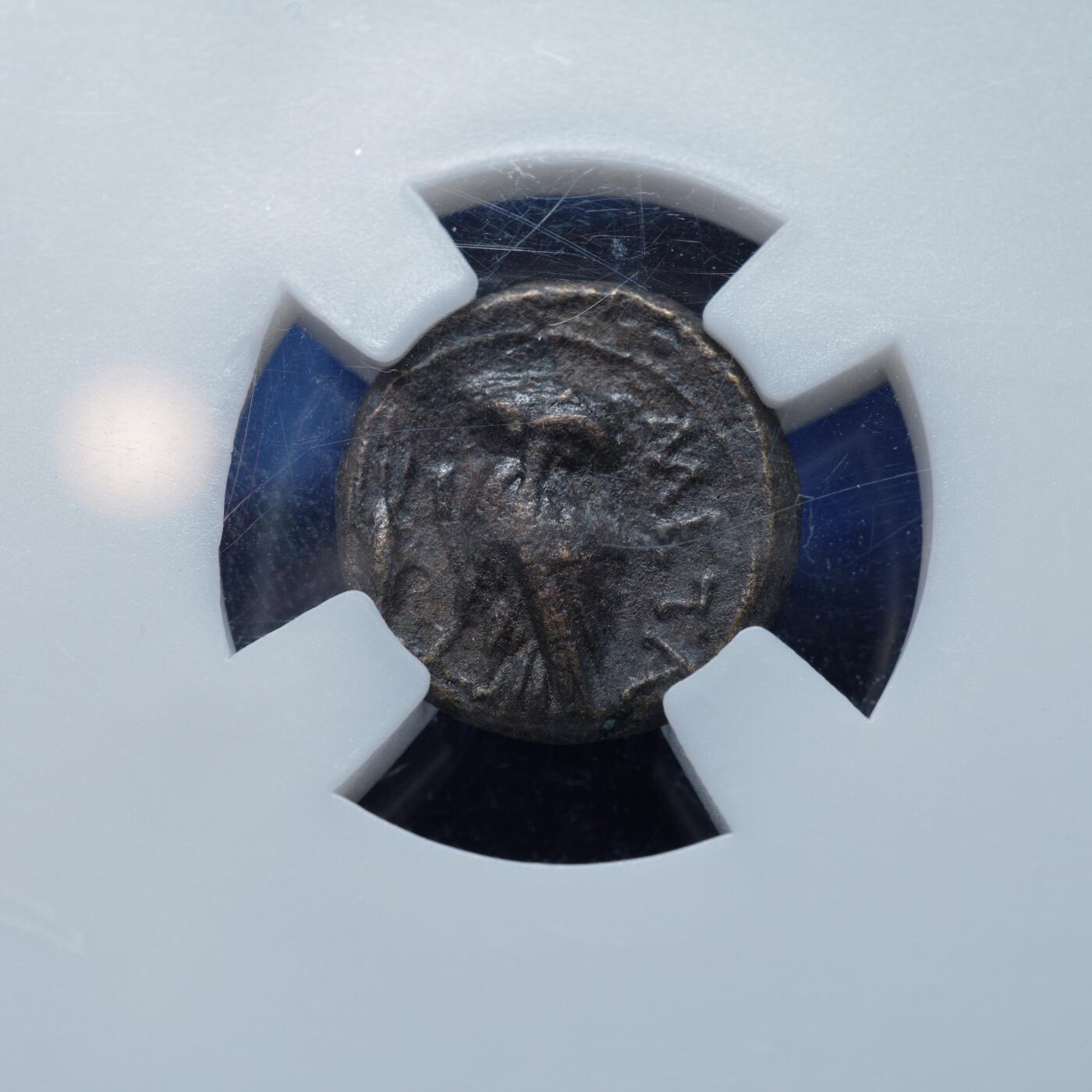 琋语集藏2026年02月欧洲古典打制币拍卖 古希腊卢卡尼亚地区雅典娜与猫头鹰铜币