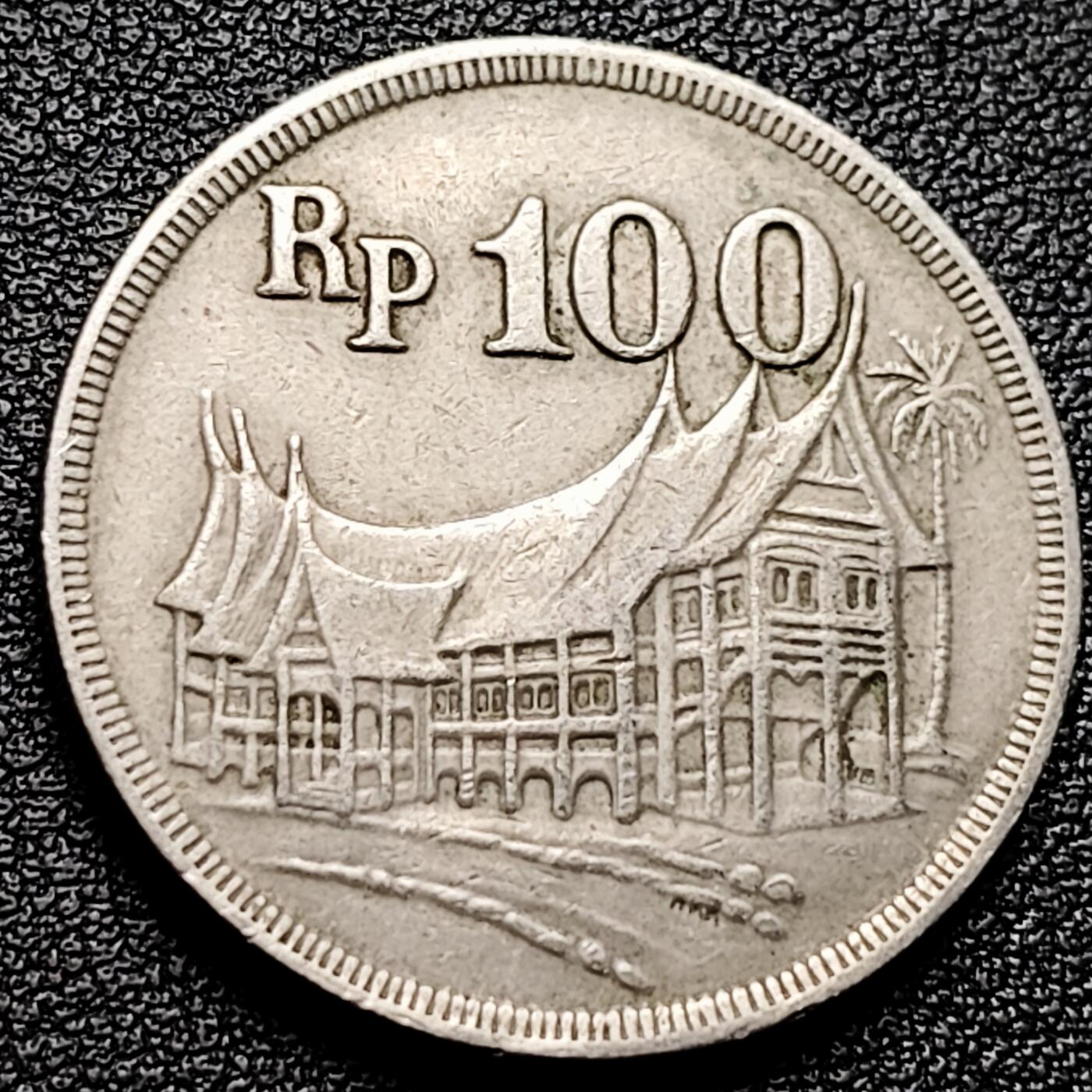 泉币菌-第173场- 精品福利场 。