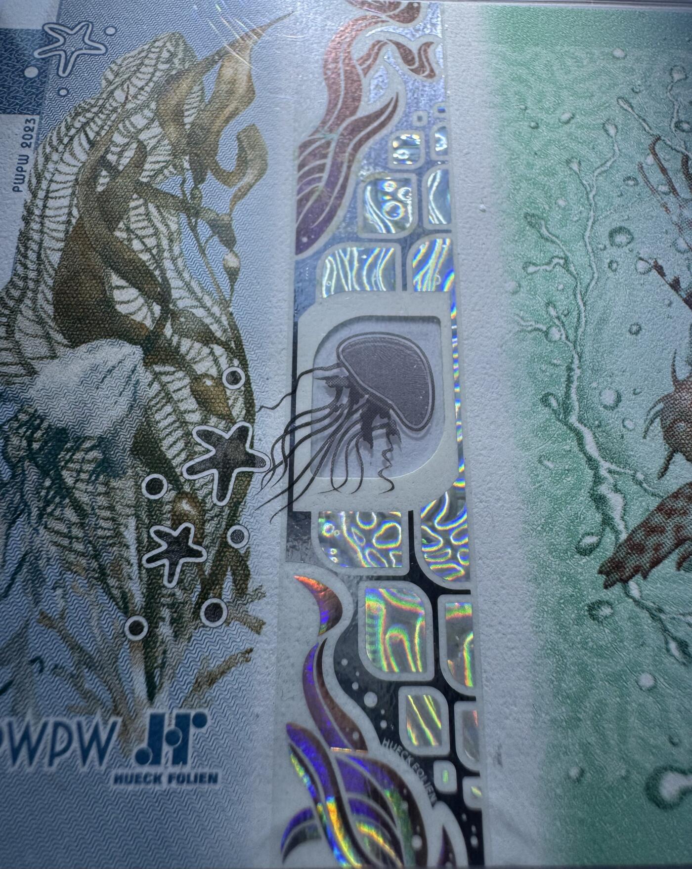 2026第2场（总第229期）：精品测试钞、连体钞综合场