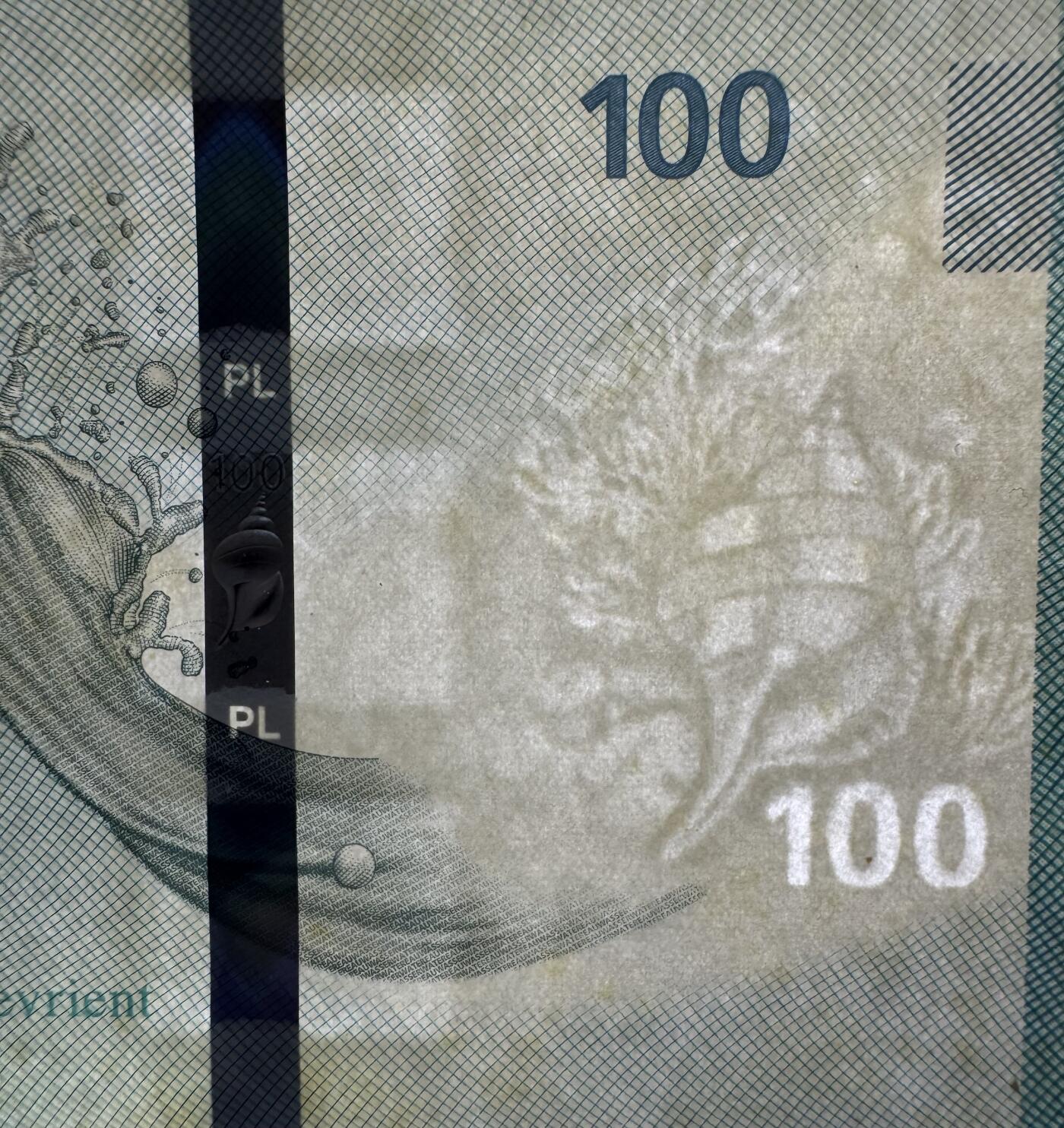 2026第2场（总第229期）：精品测试钞、连体钞综合场