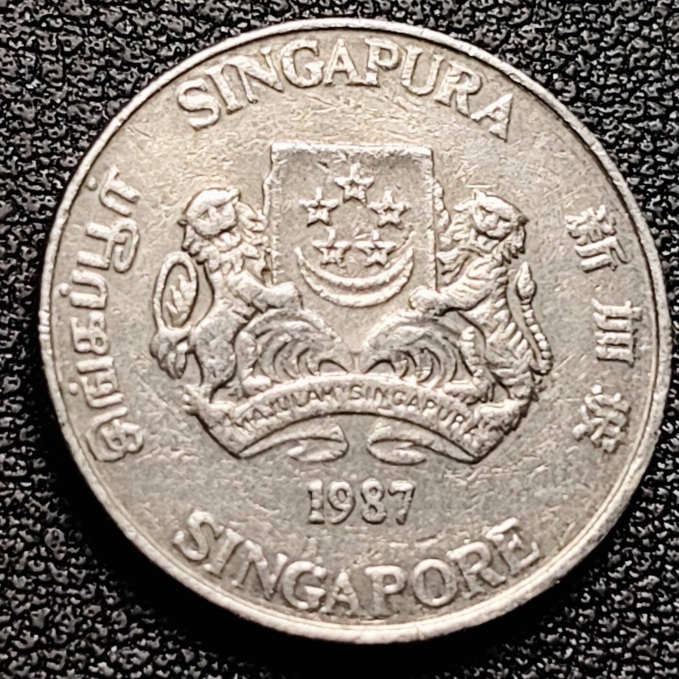 泉币菌-第174场- 精品福利场 。