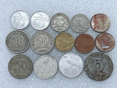 第一海外回流一元起拍收藏 散集专场  第295期 - 印度尼西亚硬币🇮🇩14枚