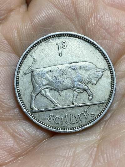 2026年第十四场(总第一百八十三场）外国好品散币场(免佣金) - 爱尔兰🇮🇪1954年1先令(共和国时期第一套)