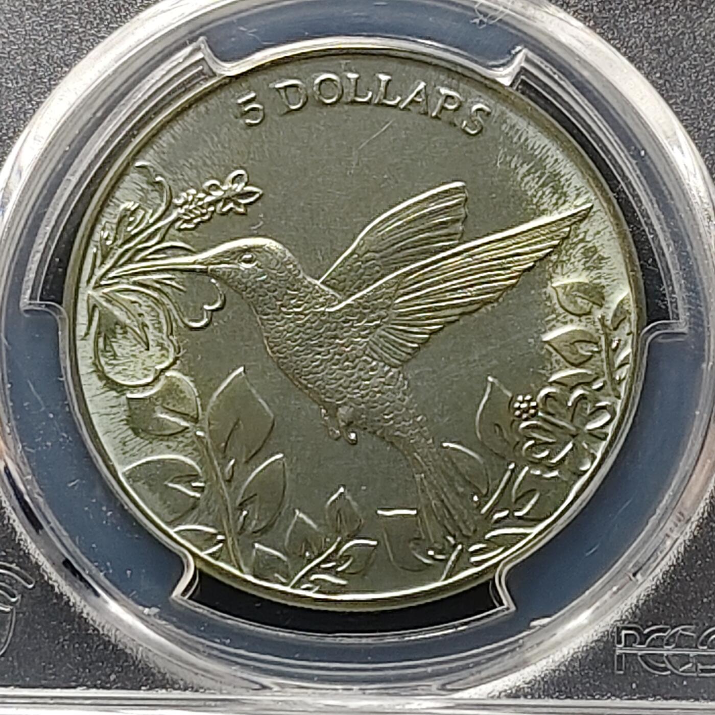 【全场包邮】纯粹捡漏拍497场-持续更新中