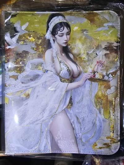 春节前倒数第三场！！龙虎卡牌-七三场（满200元包邮，无佣金，每周六结拍，欢迎送拍） - 燎原焱卡 xx传主题9宫拉链卡册 (无内页）