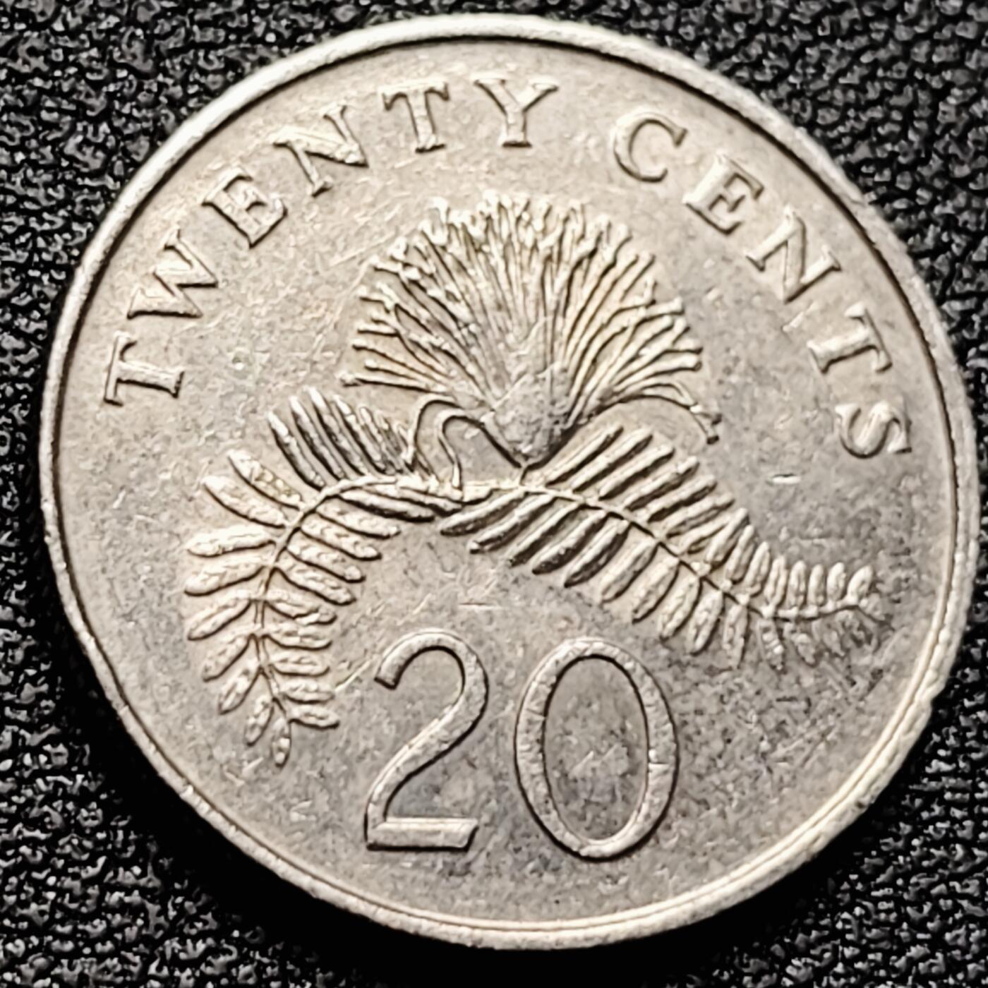 泉币菌-第174场- 精品福利场 。