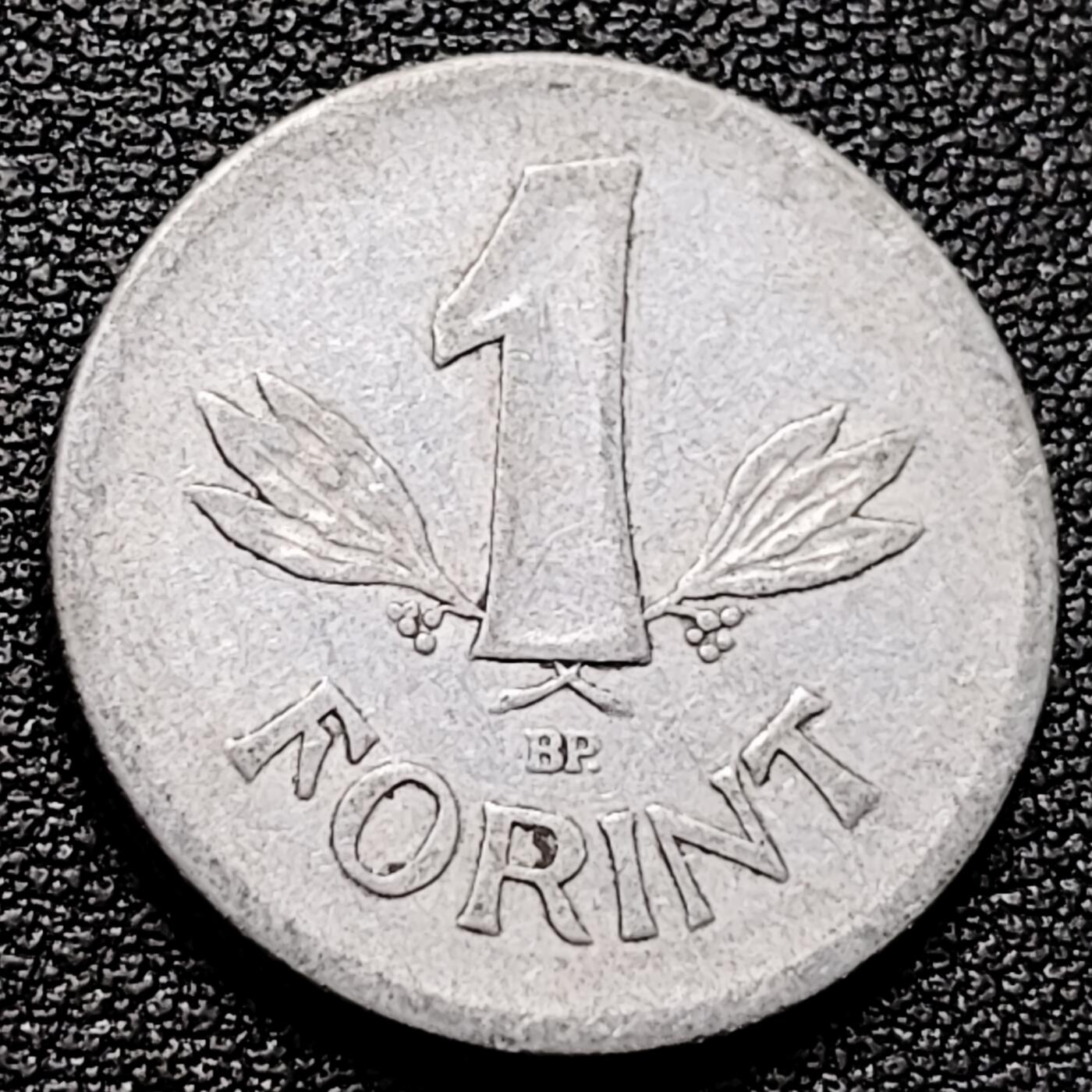 泉币菌-第174场- 精品福利场 。